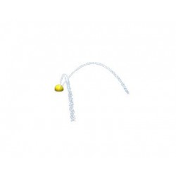 LemonDrop
