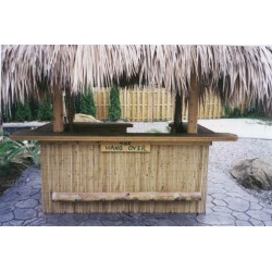 Palm Thatch Hut