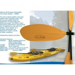 Future Beach Two-Piece Paddle